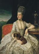 Johann Zoffany Erzherzogin Maria Christine oil painting artist